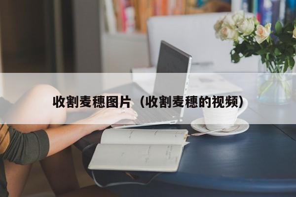 收割麦穗图片（收割麦穗的视频）